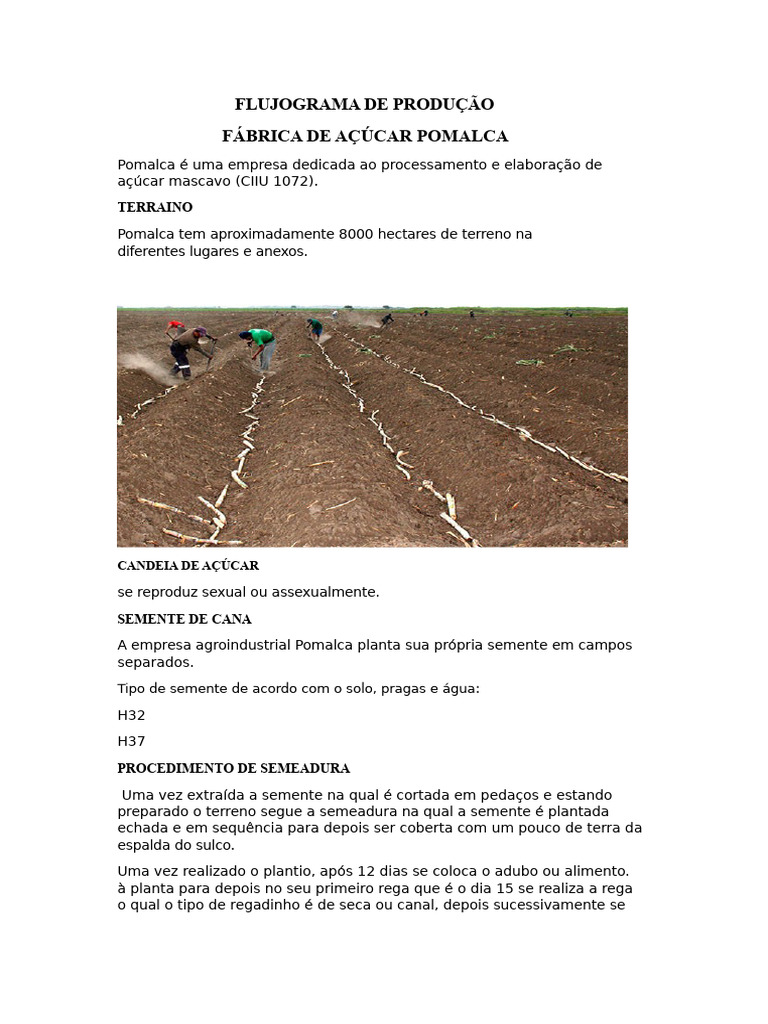 Flujograma de Produção de Açúcar Pomalca | PDF | Açúcar | Dieta e Nutrição