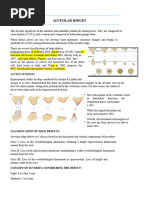 Seibert Classification of Alveolar Defects | PDF