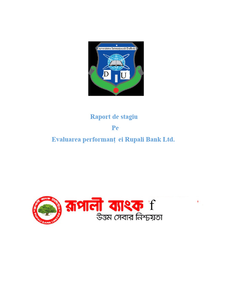 Evaluarea Performanței Bancii Rupali Limitate | PDF