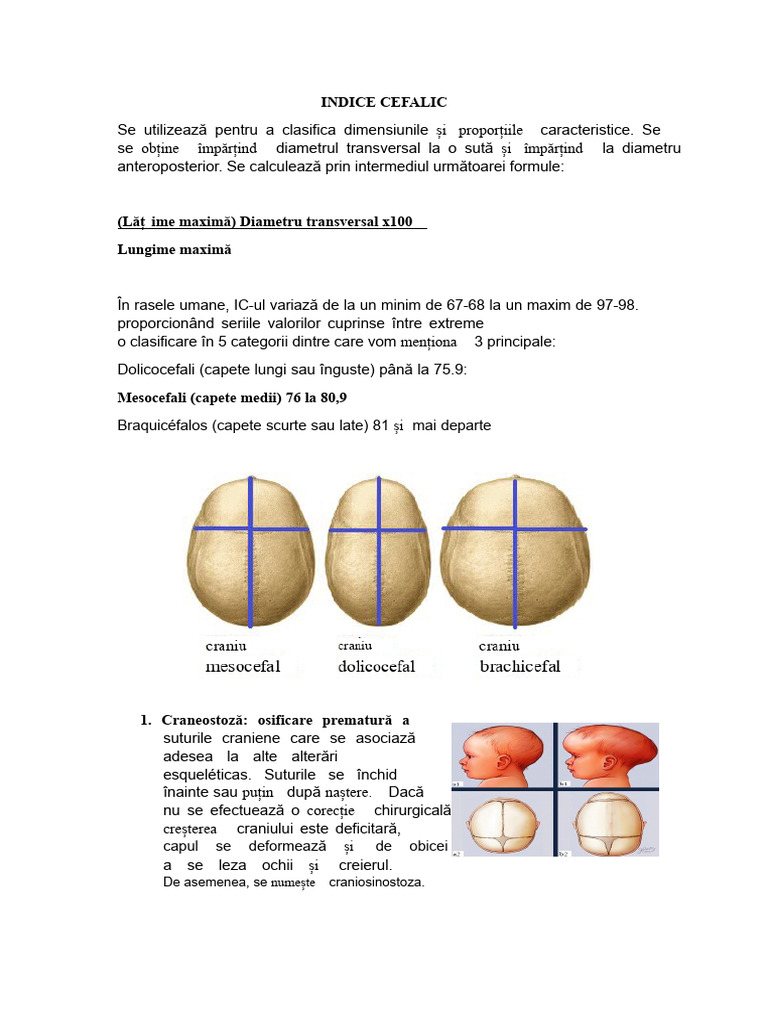 Indice Cefalic | PDF