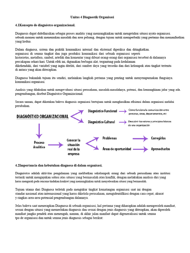 Diagnostik Organisasi untuk Efisiensi | PDF