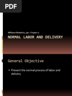 Download Normal Labor and Delivery by Awee Wee SN92656918 doc pdf