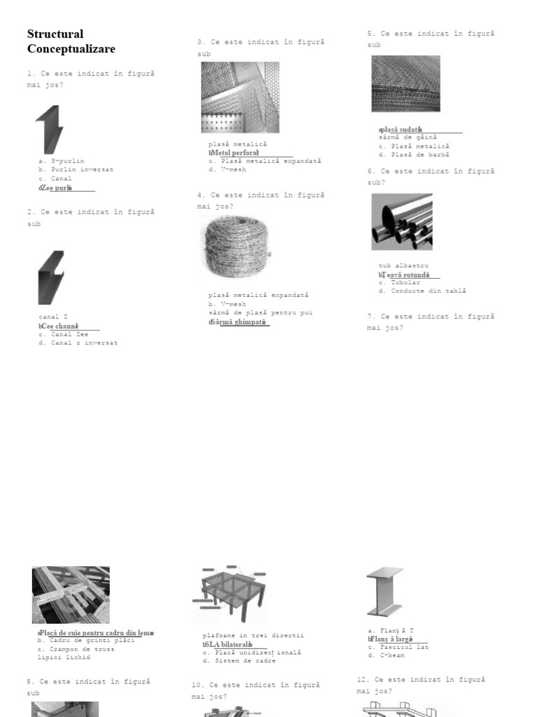 Conceptualizare Structurală (Înainte de Întrebare) | PDF