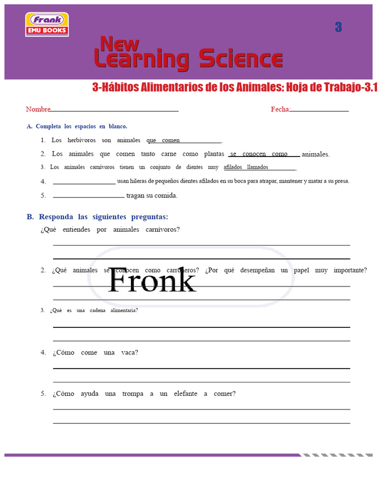 NLS 3 WS 3.1 | PDF