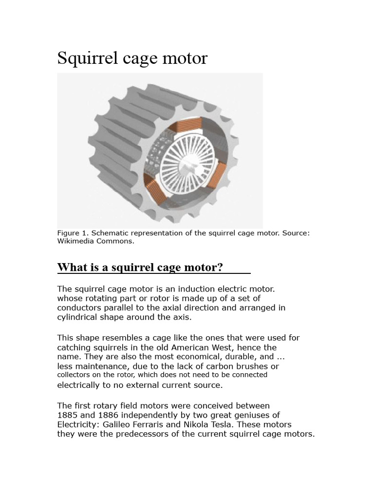 Squirrel Cage Motor | PDF | Electric Motor | Electrical Components