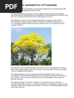 Kalachuchi Tree: A Philippine Icon | PDF