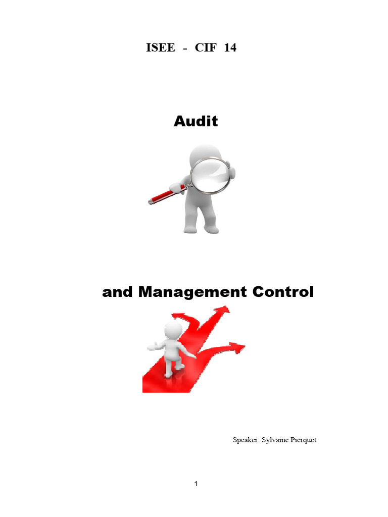Course On Audit and Management Control | PDF | Internal Audit | Audit