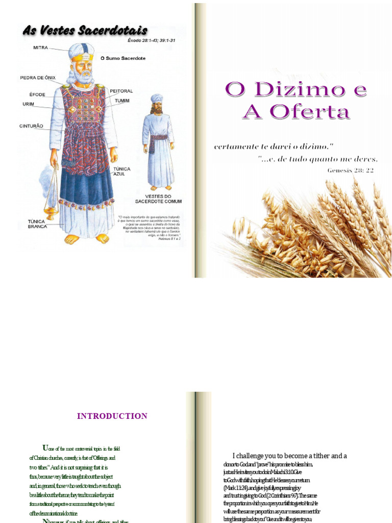 Biblical Insights on Tithes and Offerings | PDF | Book Of Numbers | Tithe