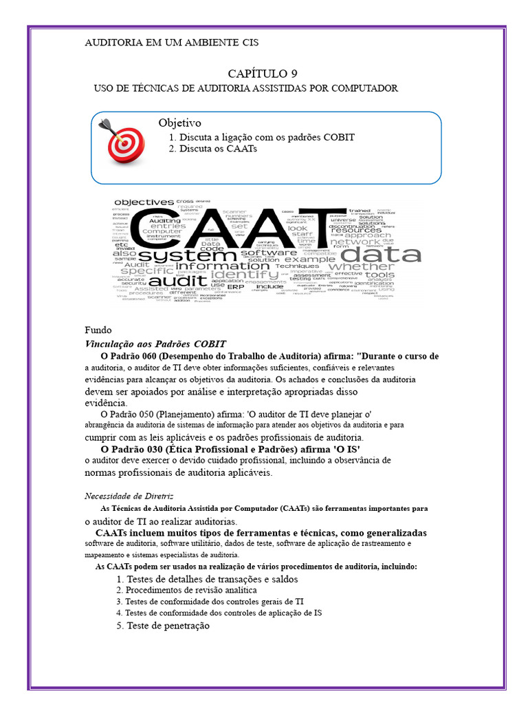 Técnicas de Auditoria com CAATs e COBIT | PDF | Tecnologia da ...