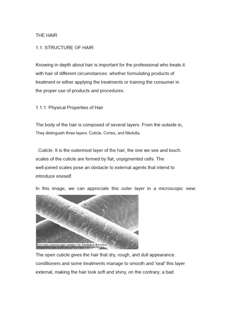 Understanding Hair Structure and Color | PDF | Color | Hair