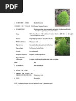 Kalachuchi Tree: A Philippine Icon | PDF