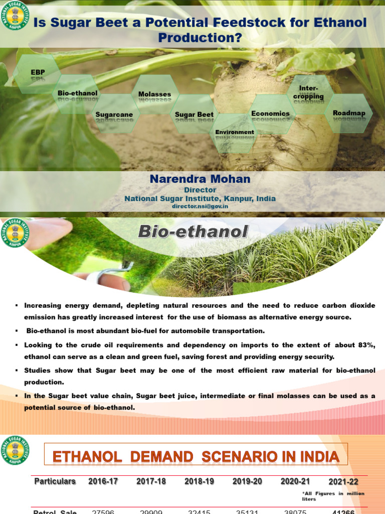 Sugar Beet as Ethanol Feedstock Potential | PDF | Sugar Beet | Biofuel