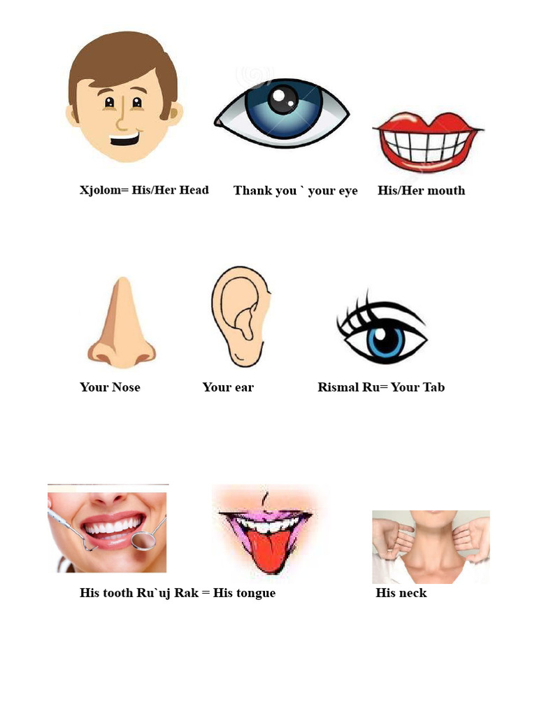 Body Parts in Queqchi and Spanish | PDF
