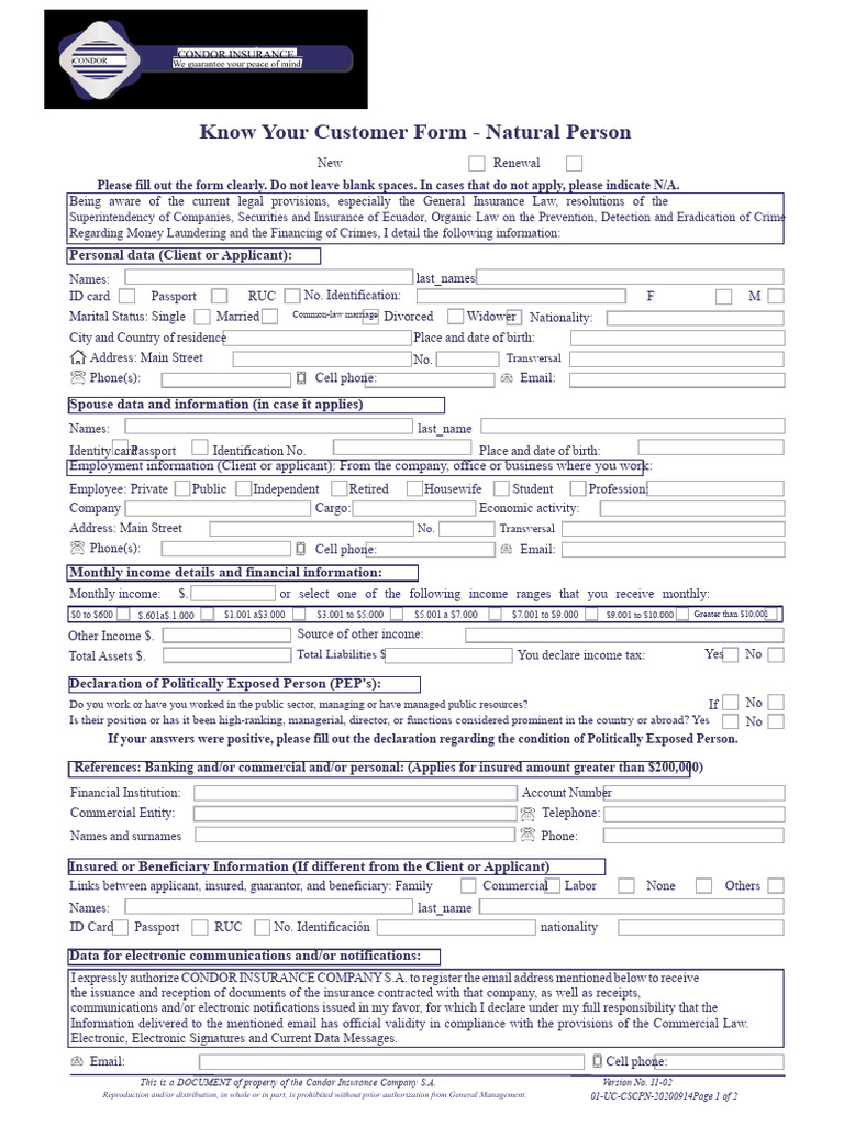 Know Your Customer Form - Natural Person | PDF | Identity Document