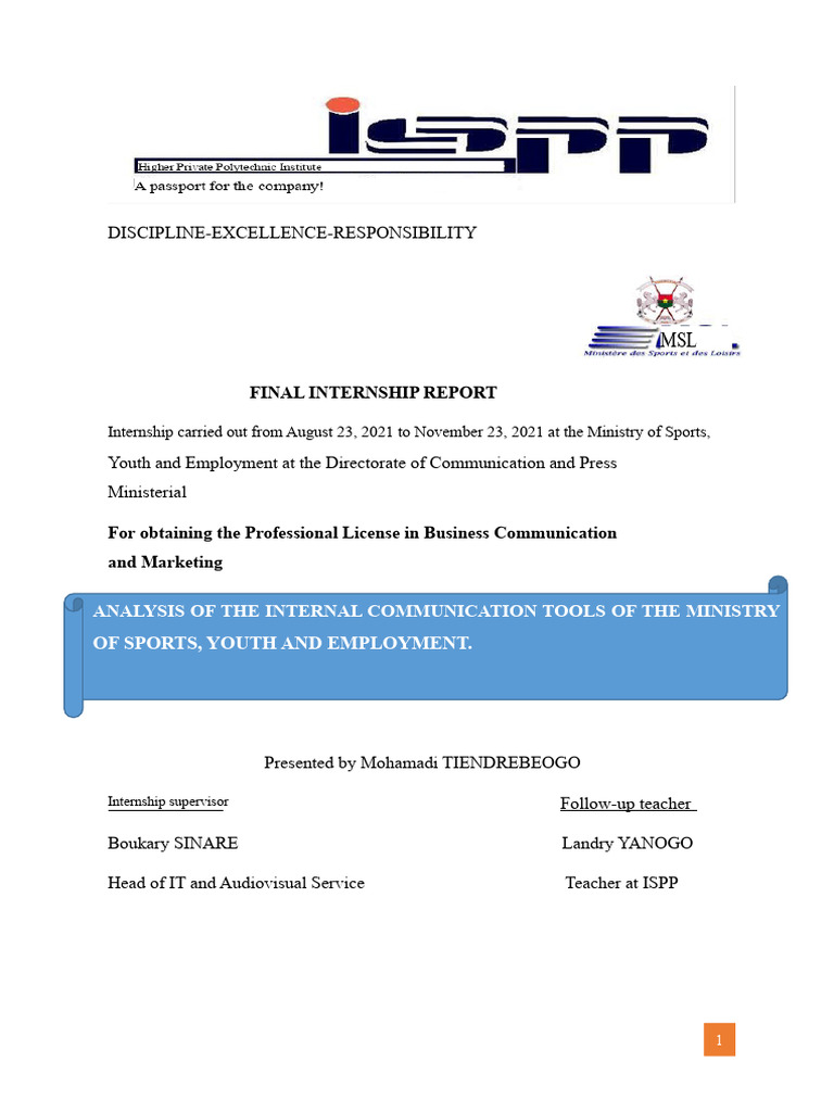 Internal Communication Analysis Report | PDF | Communication | Information