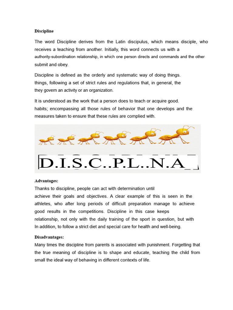 Understanding Discipline in Education | PDF | Disciplines | Teachers