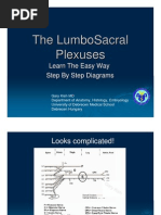 Download LumbaoSacral Plexuses Learn the Easy Way by Mayna Bohari SN92663844 doc pdf
