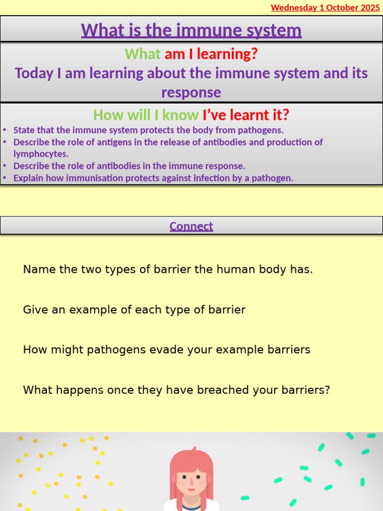 The Immune System | PDF | Immune System | Lymphocyte