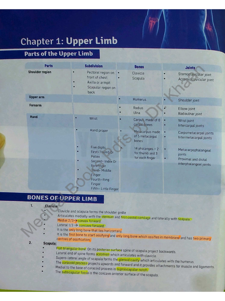 Fast Aid Notes 13. Upper Limb Anatomy | PDF