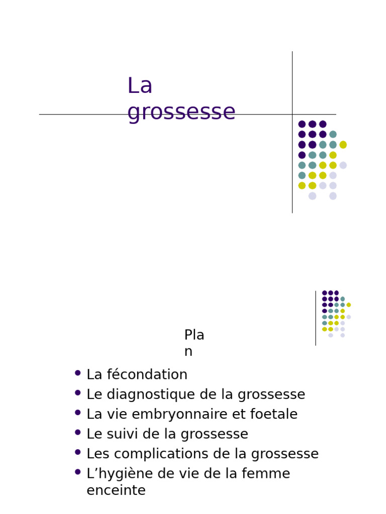 Guide complet sur la grossesse et l'accouchement | PDF | Grossesse ...