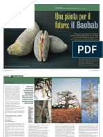 2002 10 Erbdomani Unapiantaperilfuturoilbaobab