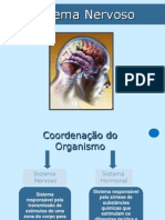 9.Ppt.s.nervoso.2