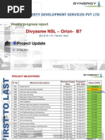 Divyasree NSL - Orion-B7: Project Update