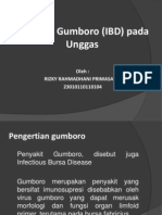 Penyakit Gumboro (IBD) Pada Unggas