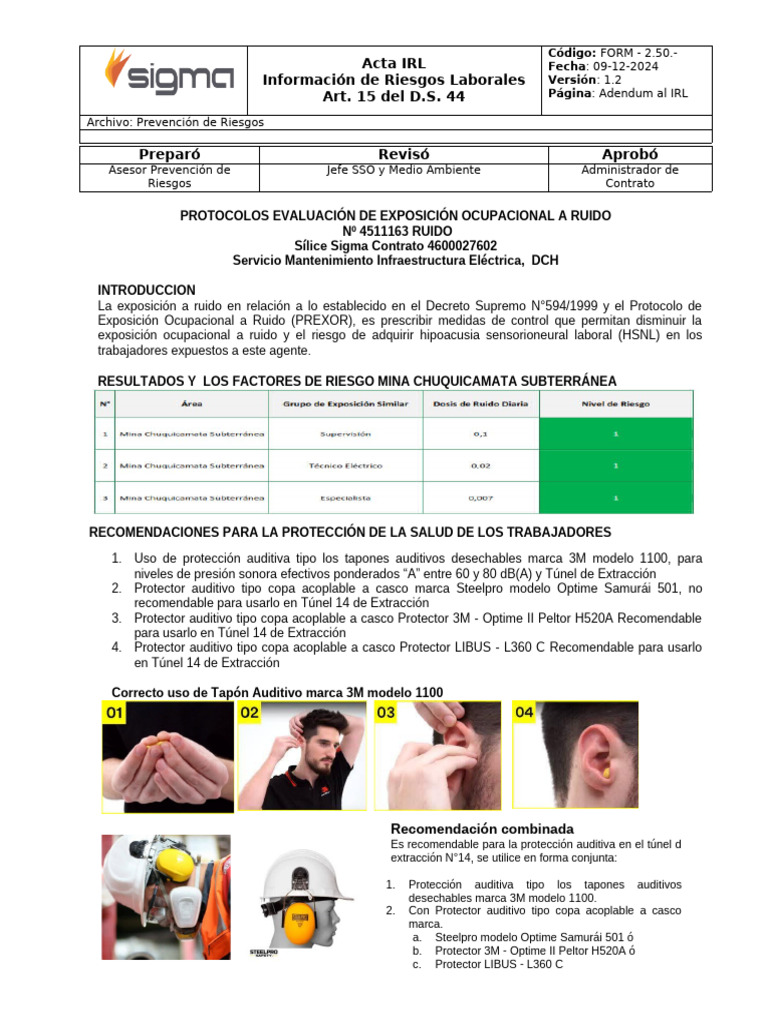 Protocolo de Riesgos Laborales: Ruido y Sílice | PDF | ruido