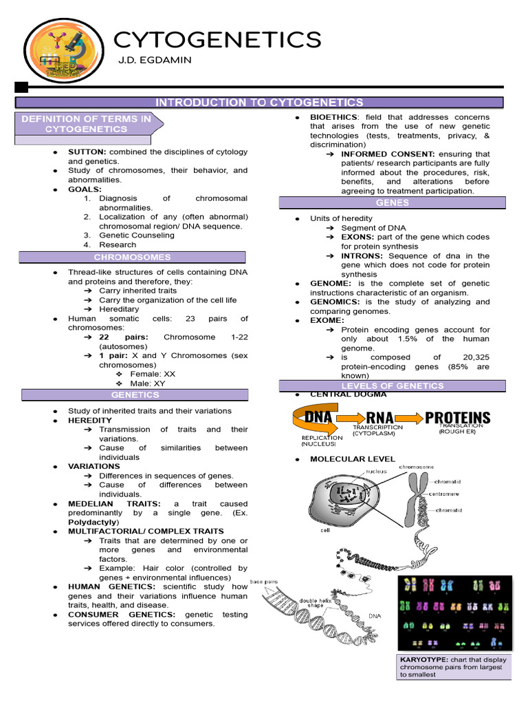 Understanding Cytogenetics and Genetics | PDF | Biological Membrane ...