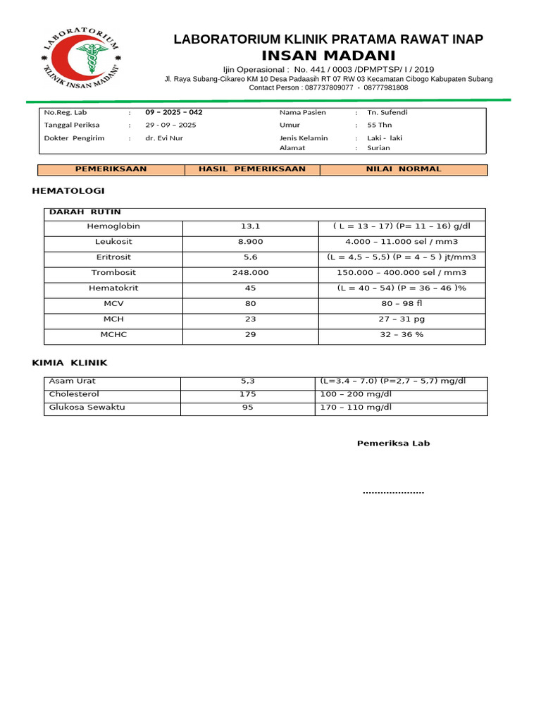 Hasil Pemeriksaan Laboratorium Medis | PDF