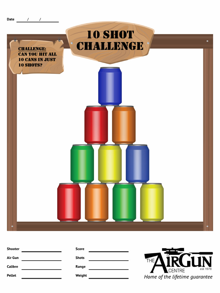 Air Rifle Target Can Challenge | PDF