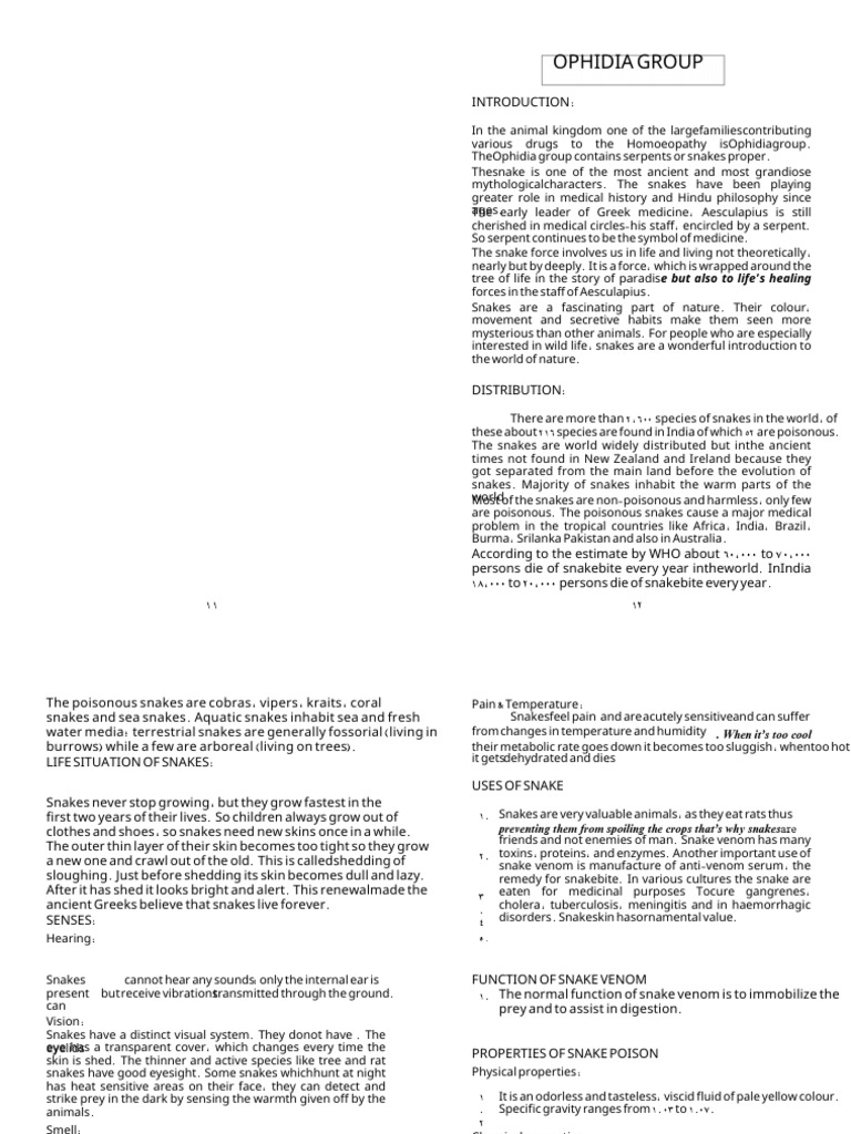 Akhil PPT Draft File For Upload 3 | PDF | Snake | Acid