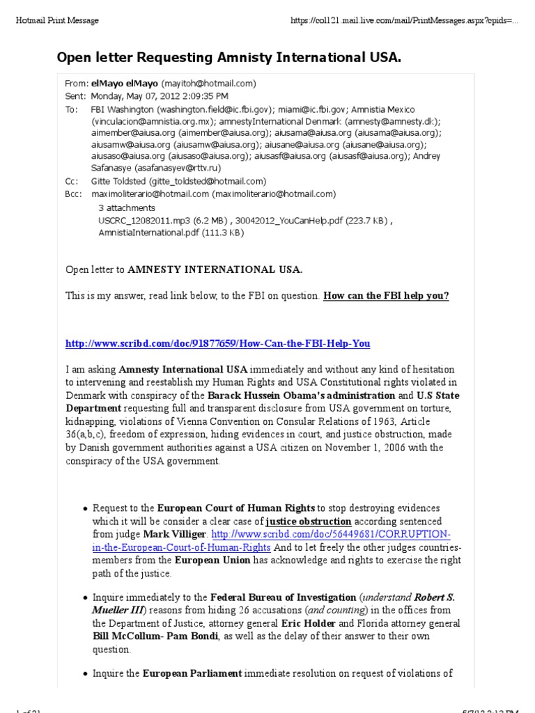 Open Letter To Amnesty International | PDF | American Civil Liberties ...