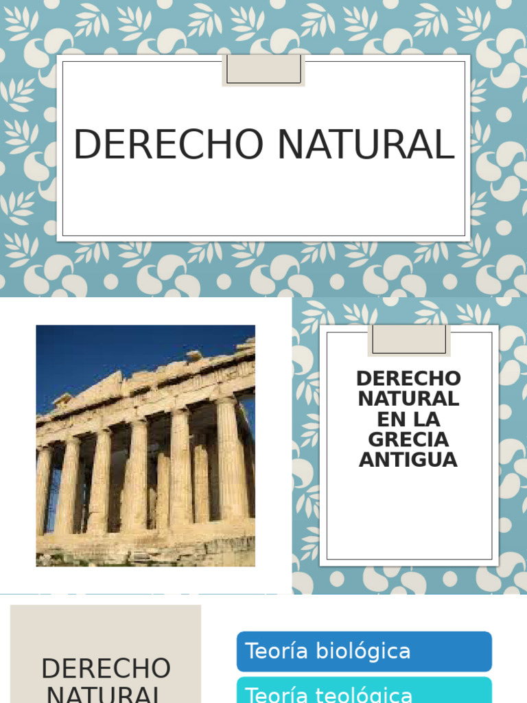Derecho Natural | PDF | La Ley natural | Razón