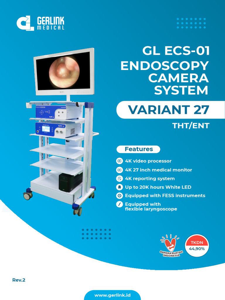 4K Endoscopy Camera System Overview | PDF | Video | Display Resolution