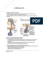 endokrinologi manusia_2