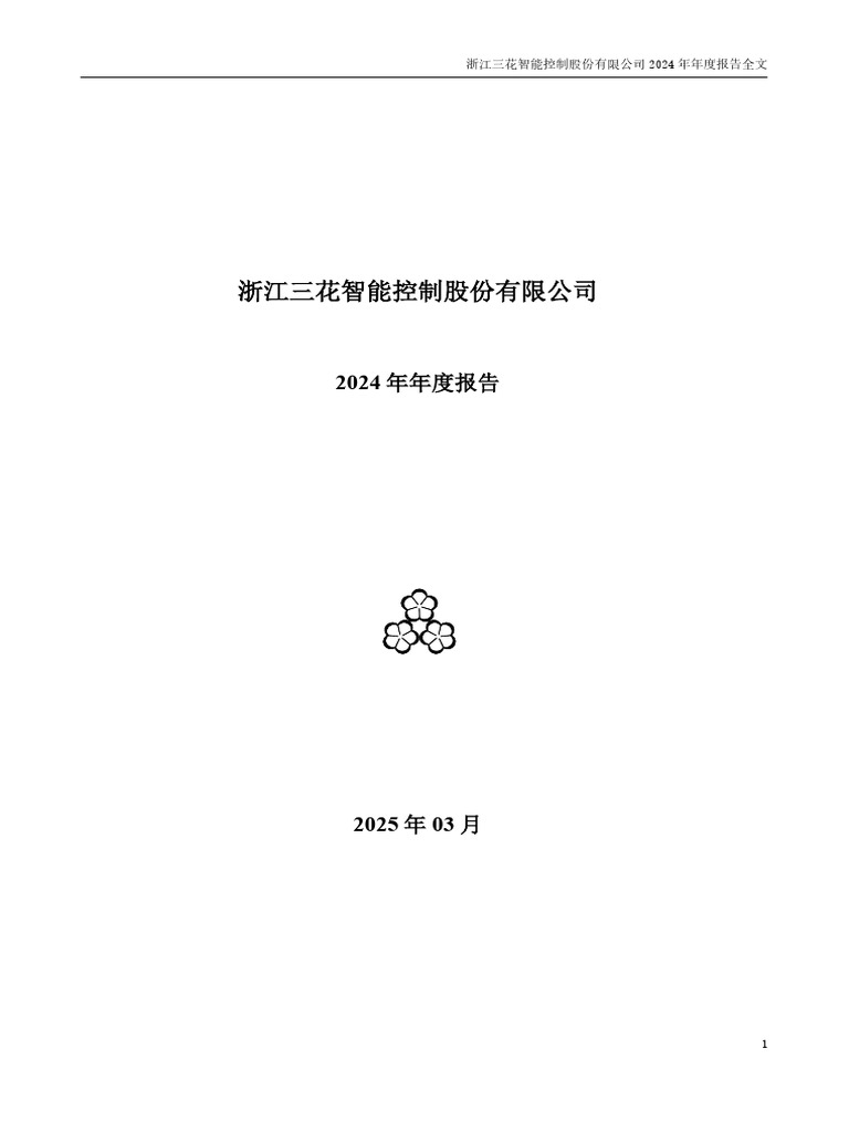 2024年年度报告| PDF
