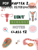 Class 12 Biology: Human Reproduction Notes | PDF | Menstrual Cycle ...
