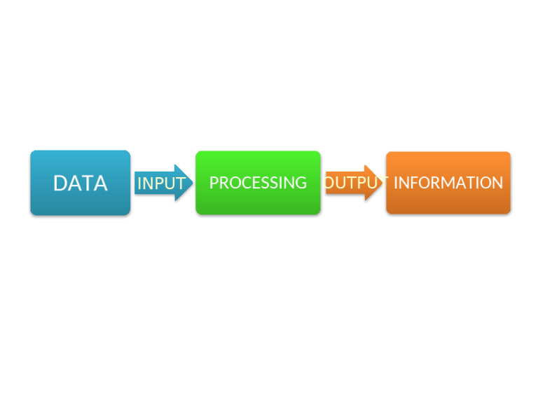Processing: Information | PDF
