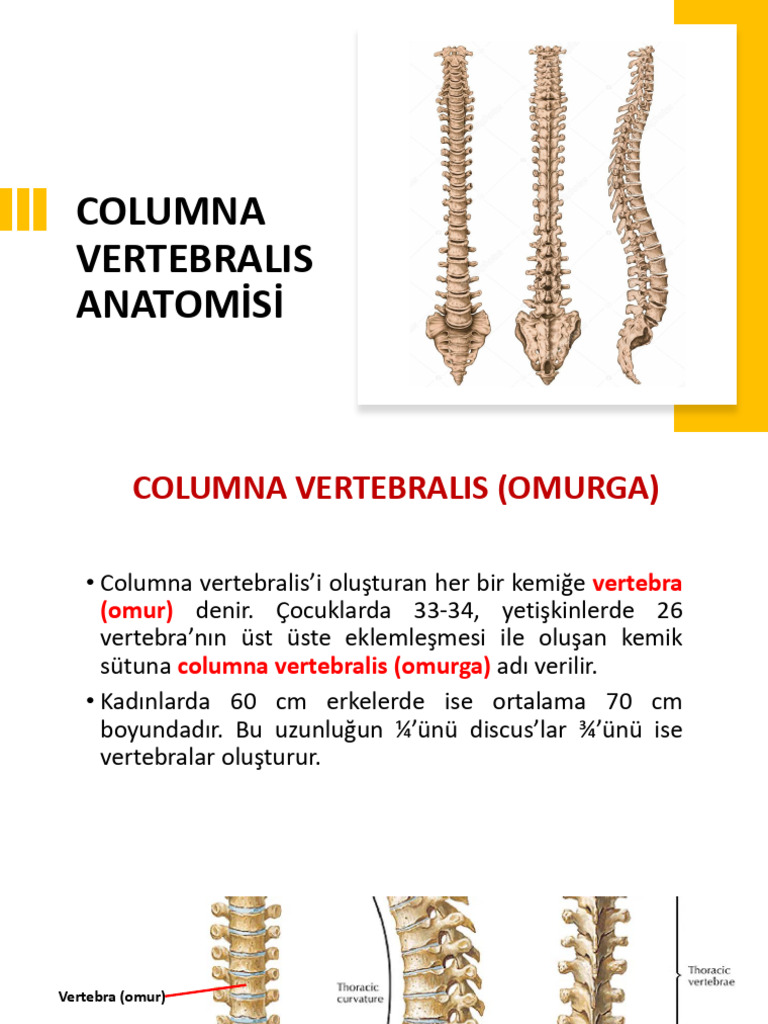 Count To 20 In Spanish Audio