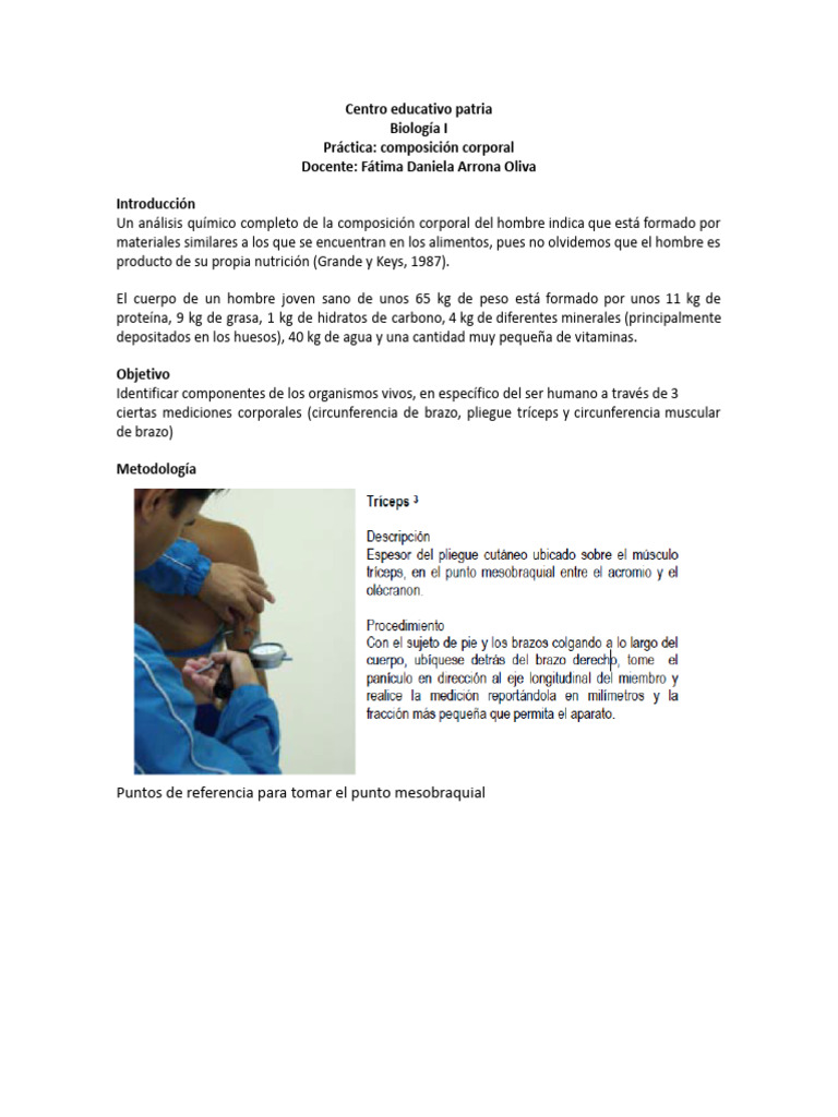 Composición corporal humana: análisis y mediciones | PDF