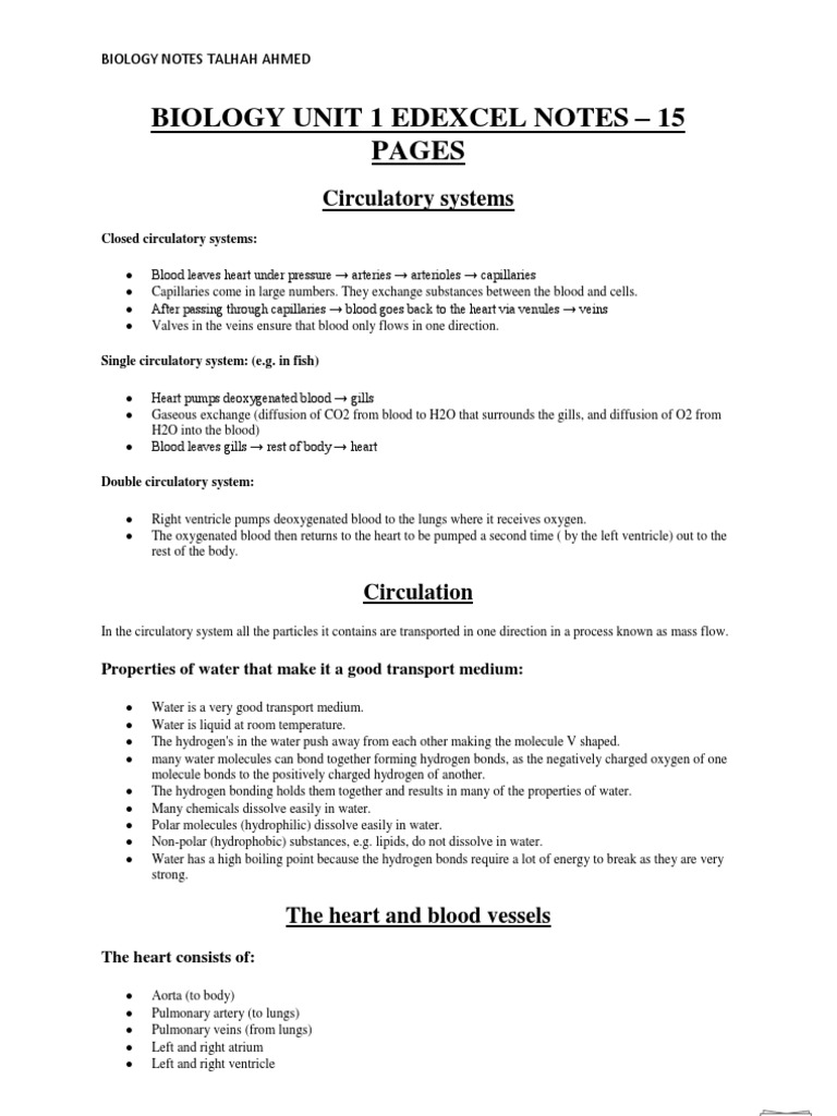 Edexcel Biology Circulatory System Notes | PDF | Cell Membrane | Heart ...
