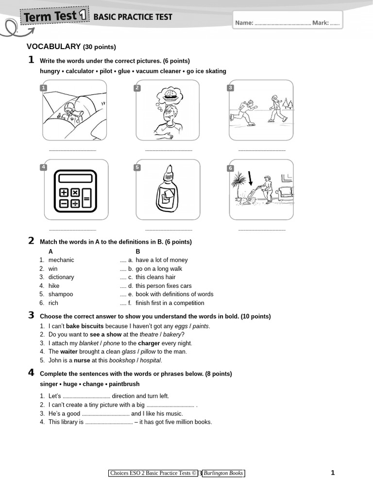 Vocabulary and Language Practice Test | PDF