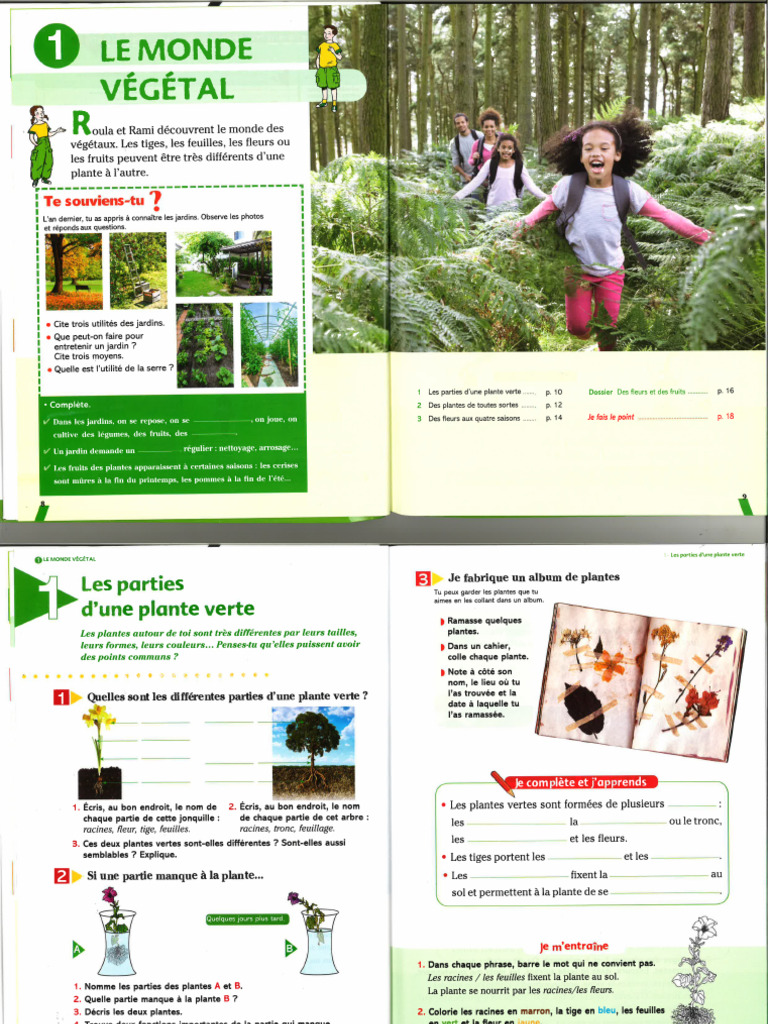 Sciences - Objectifs EB3 | PDF