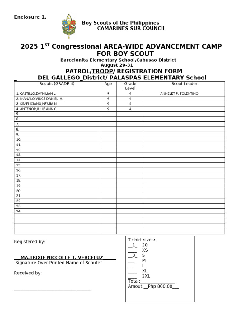 2025 Boy Scouts Registration Form | PDF | Chess Openings | Youth Movements