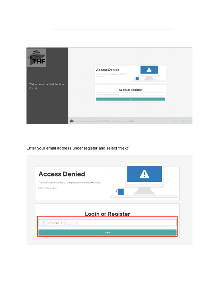 Hepatitis Fund Application Guide | PDF