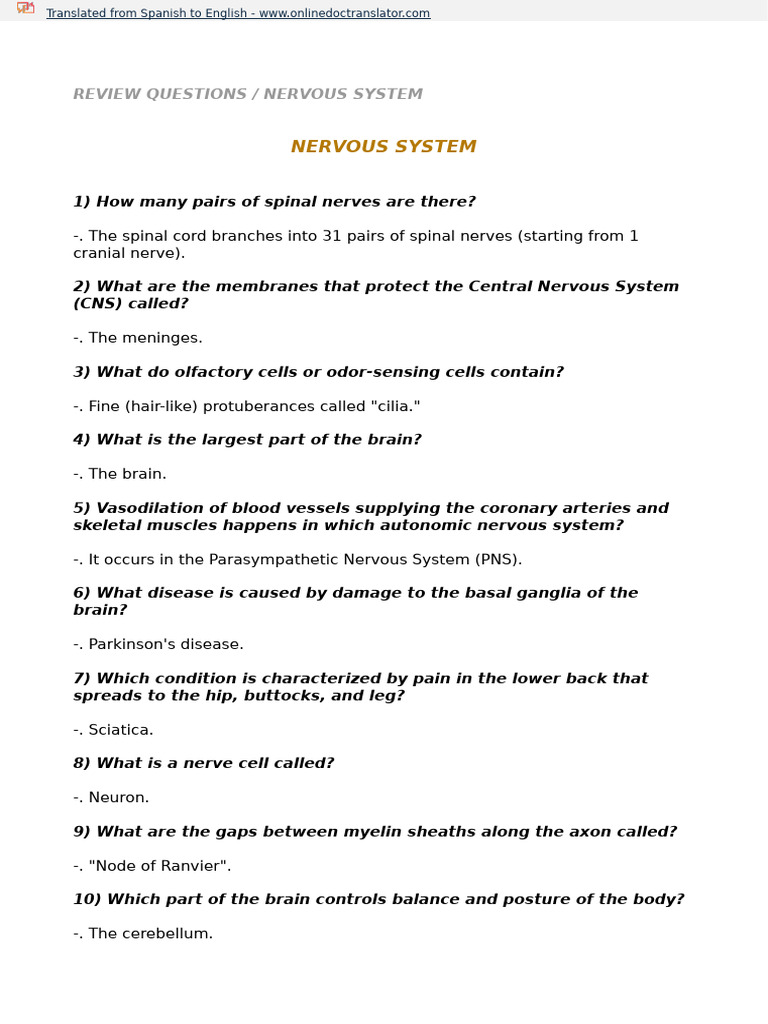 Nervous System Review Questions Guide | PDF | Nervous System | Nerve