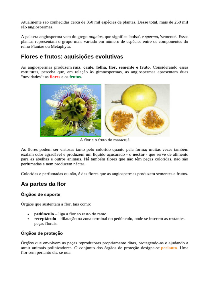 Estruturas e Funções das Angiospermas | PDF | Flores | Plantas