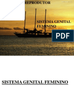 Sistema Genital Feminino